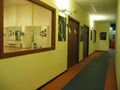 IMG_3358
